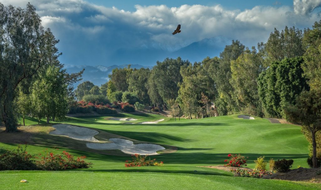 bird flying over golf course